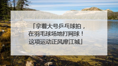 拿着大号乒乓球拍，在羽毛球场地打网球！这项运动正风靡江城