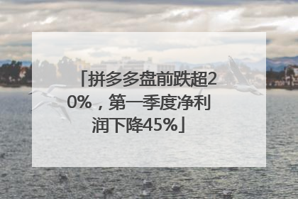 拼多多盘前跌超20%，第一季度净利润下降45%