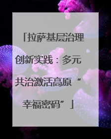 拉萨基层治理创新实践：多元共治激活高原“幸福密码”