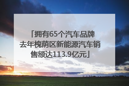 拥有65个汽车品牌 去年槐荫区新能源汽车销售额达113.9亿元