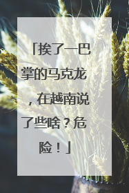 挨了一巴掌的马克龙，在越南说了些啥？危险！