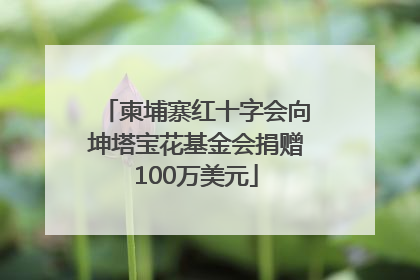 柬埔寨红十字会向坤塔宝花基金会捐赠100万美元