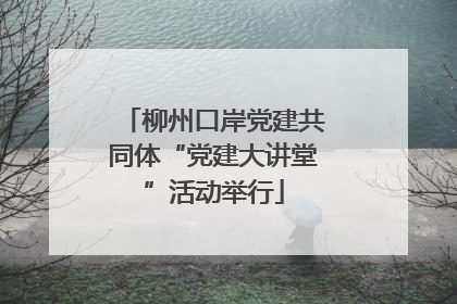 柳州口岸党建共同体“党建大讲堂”活动举行