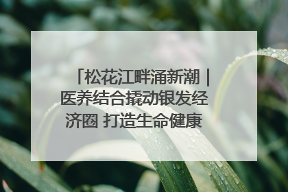 松花江畔涌新潮｜医养结合撬动银发经济圈 打造生命健康产业新样本