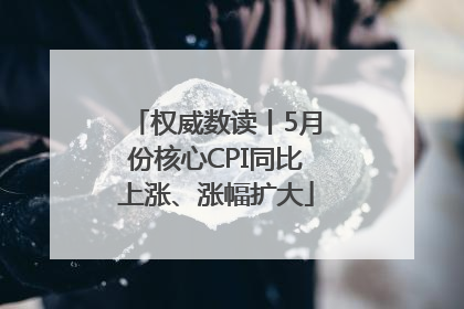 权威数读丨5月份核心CPI同比上涨、涨幅扩大