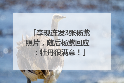 李现连发3张杨紫照片，随后杨紫回应：牡丹很满意！