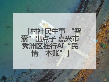 村社民生事 “智囊”出点子 嘉兴市秀洲区推行AI“民情一本账”