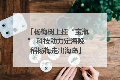杨梅树上挂“宝瓶” 科技助力定海晚稻杨梅走出海岛