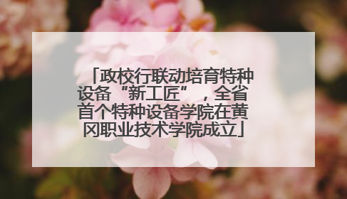 政校行联动培育特种设备“新工匠”，全省首个特种设备学院在黄冈职业技术学院成立
