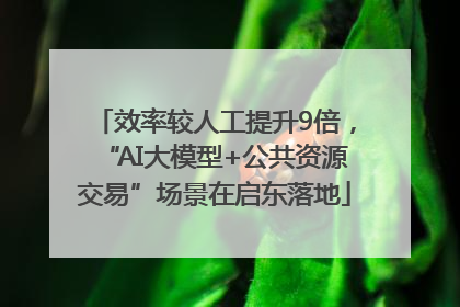 效率较人工提升9倍，“AI大模型+公共资源交易”场景在启东落地