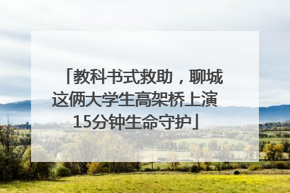 教科书式救助，聊城这俩大学生高架桥上演15分钟生命守护