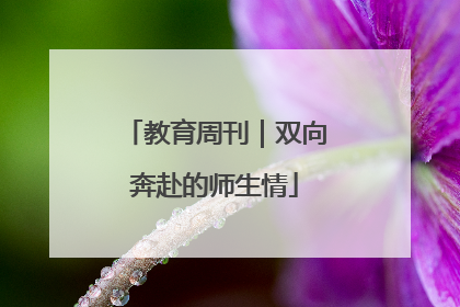 教育周刊｜双向奔赴的师生情
