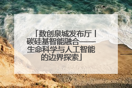 数创泉城发布厅丨碳硅基智能融合——生命科学与人工智能的边界探索