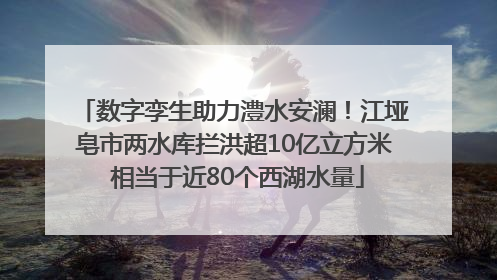 数字孪生助力澧水安澜！江垭皂市两水库拦洪超10亿立方米 相当于近80个西湖水量
