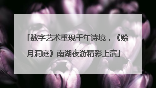 数字艺术重现千年诗境，《赊月洞庭》南湖夜游精彩上演