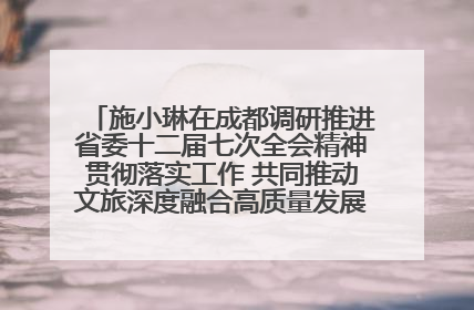施小琳在成都调研推进省委十二届七次全会精神贯彻落实工作 共同推动文旅深度融合高质量发展 加快打造支柱产业民生产业幸福产业