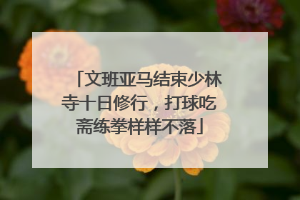 文班亚马结束少林寺十日修行，打球吃斋练拳样样不落