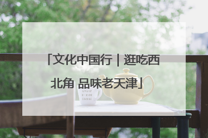 文化中国行｜逛吃西北角 品味老天津