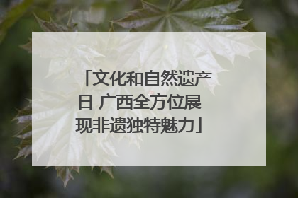 文化和自然遗产日 广西全方位展现非遗独特魅力