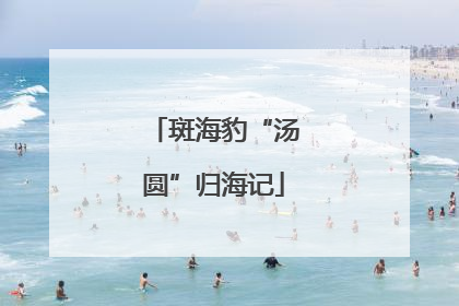 斑海豹“汤圆”归海记