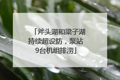 斧头湖和梁子湖持续超设防，泵站9台机组排涝