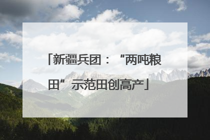 新疆兵团：“两吨粮田”示范田创高产