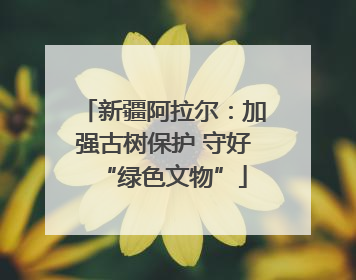 新疆阿拉尔：加强古树保护 守好“绿色文物”