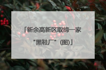 新余高新区取缔一家“黑鞋厂”(图)