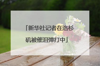 新华社记者在洛杉矶被催泪弹打中