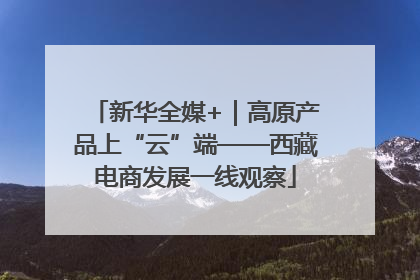 新华全媒+｜高原产品上“云”端——西藏电商发展一线观察