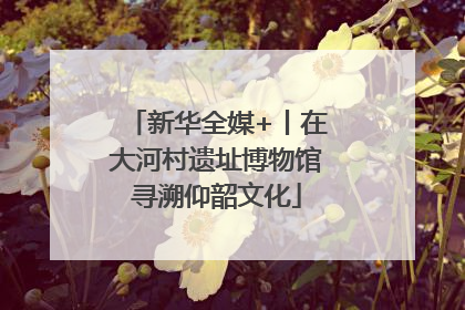 新华全媒+丨在大河村遗址博物馆寻溯仰韶文化