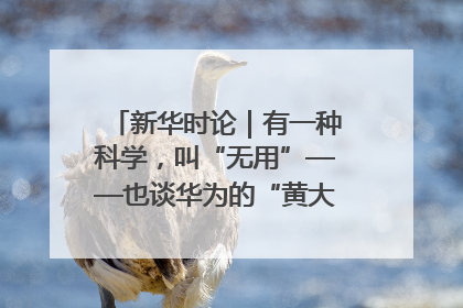 新华时论｜有一种科学，叫“无用”——也谈华为的“黄大年茶思屋”