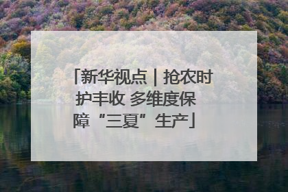 新华视点｜抢农时 护丰收 多维度保障“三夏”生产