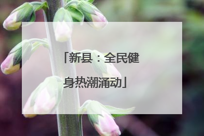 新县：全民健身热潮涌动