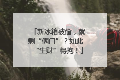 新冰箱被偷，就剩“俩门”？如此“生财”得拘！