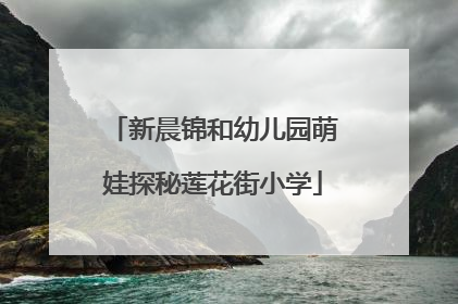 新晨锦和幼儿园萌娃探秘莲花街小学