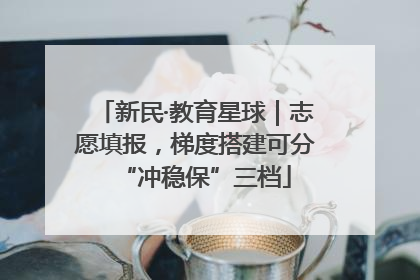 新民·教育星球｜志愿填报，梯度搭建可分“冲稳保”三档