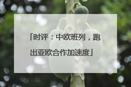 时评：中欧班列，跑出亚欧合作加速度