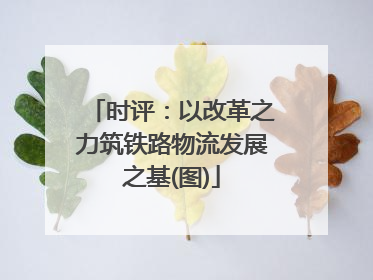 时评：以改革之力筑铁路物流发展之基(图)