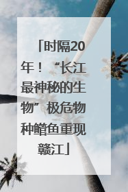 时隔20年！“长江最神秘的生物”极危物种鳤鱼重现赣江
