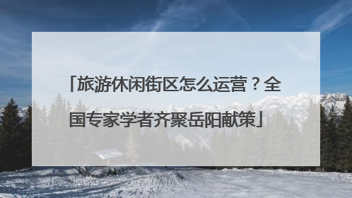 旅游休闲街区怎么运营？全国专家学者齐聚岳阳献策