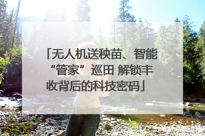 无人机送秧苗、智能“管家”巡田 解锁丰收背后的科技密码