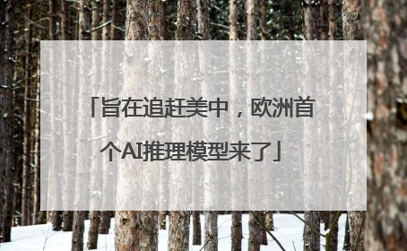 旨在追赶美中，欧洲首个AI推理模型来了
