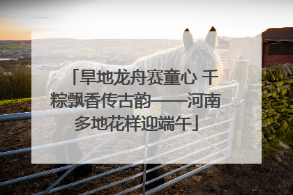 旱地龙舟赛童心 千粽飘香传古韵——河南多地花样迎端午