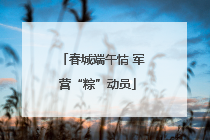 春城端午情 军营“粽”动员