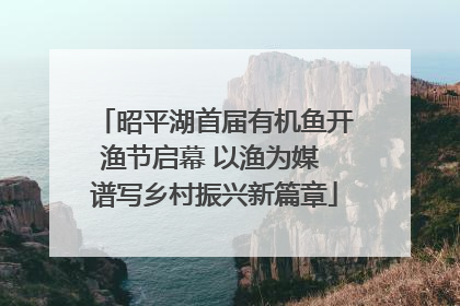 昭平湖首届有机鱼开渔节启幕 以渔为媒 谱写乡村振兴新篇章