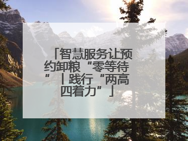 智慧服务让预约卸粮“零等待”丨践行“两高四着力”