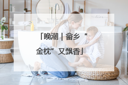 晚潮｜畲乡“金枕”又飘香