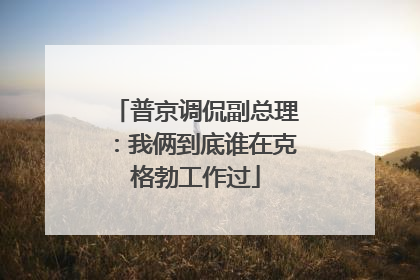 普京调侃副总理：我俩到底谁在克格勃工作过