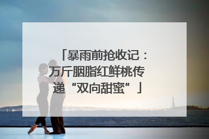 暴雨前抢收记：万斤胭脂红鲜桃传递“双向甜蜜”